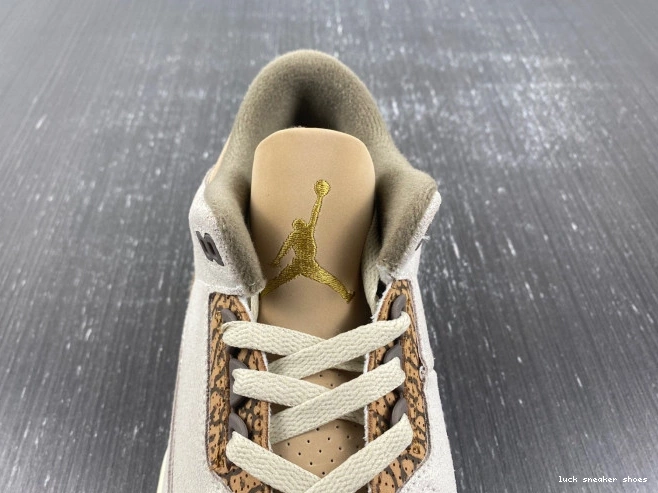 Reps LUCY Palomino 3 Air CT8532-102 Jordan 0816